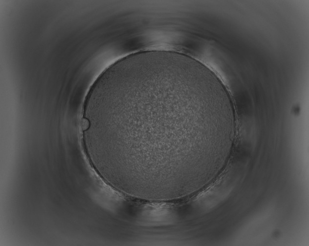 X0000095671000200801151100