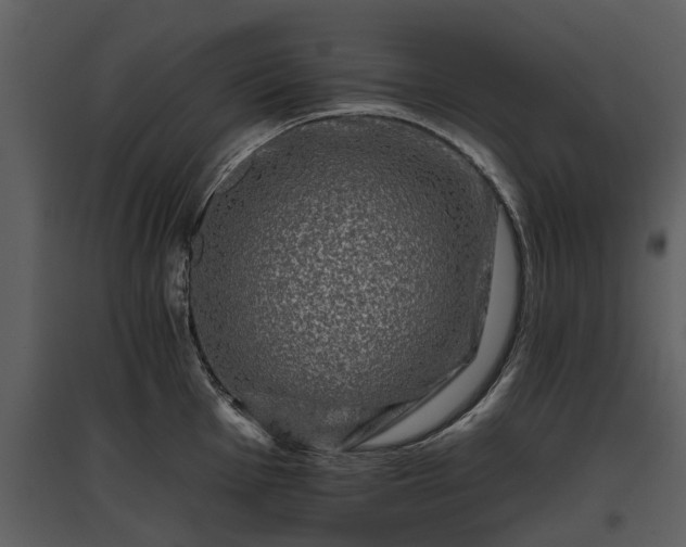 X0000095671001200801151100