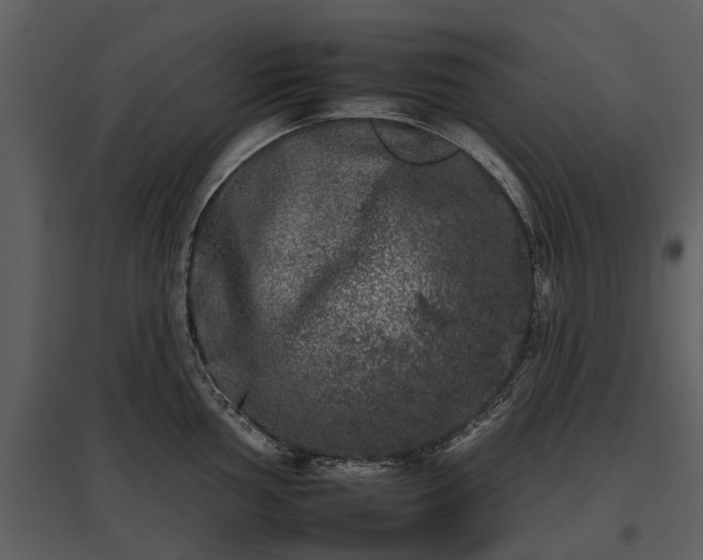 X0000095671002200801151100