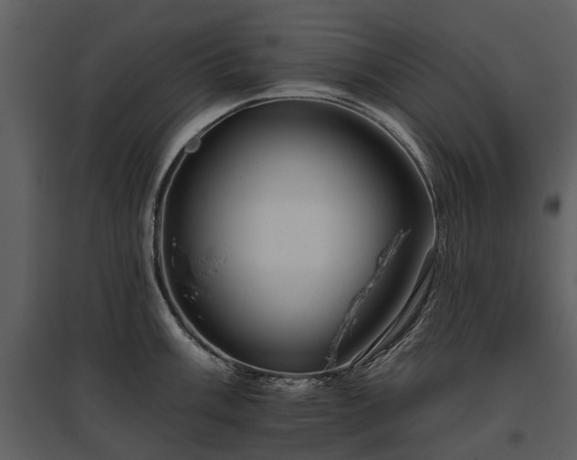 X0000095671003200801151100