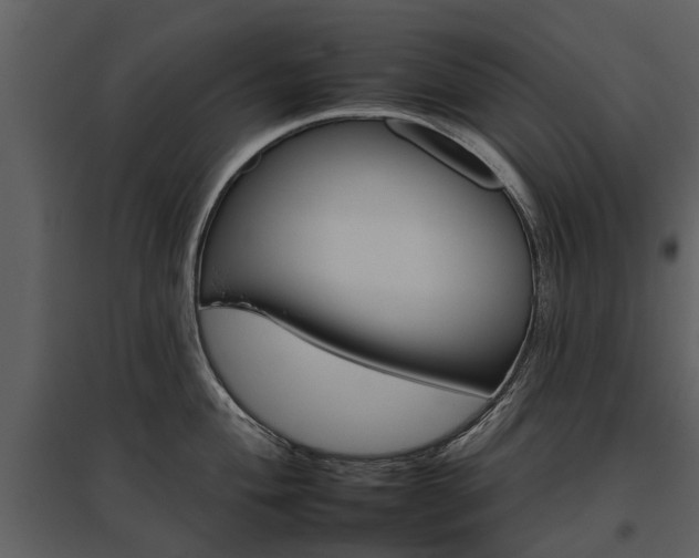 X0000095671004200801151100