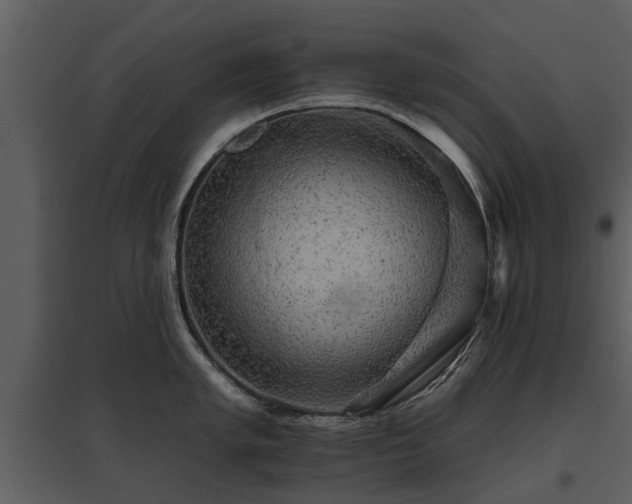 X0000095671005200801151100