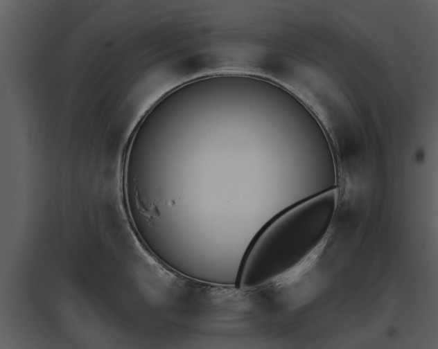 X0000095671006200801151100