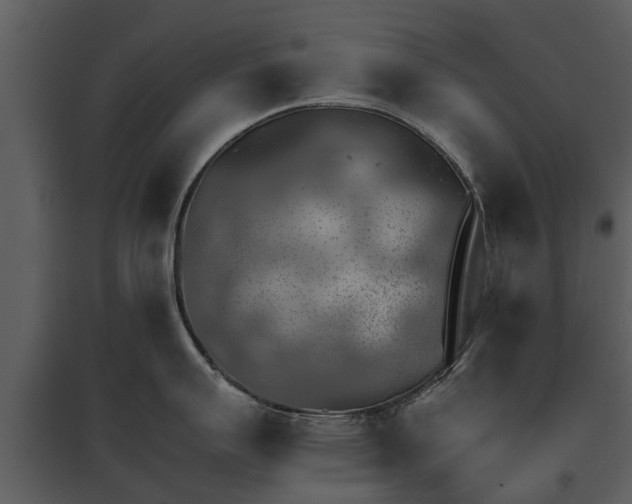 X0000095671007200801151100