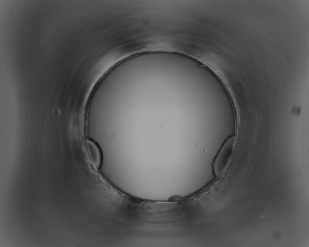 X0000095671008200801151100