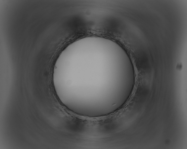 X0000095671009200801151059