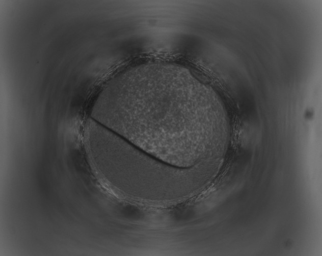 X0000095671010200801151059