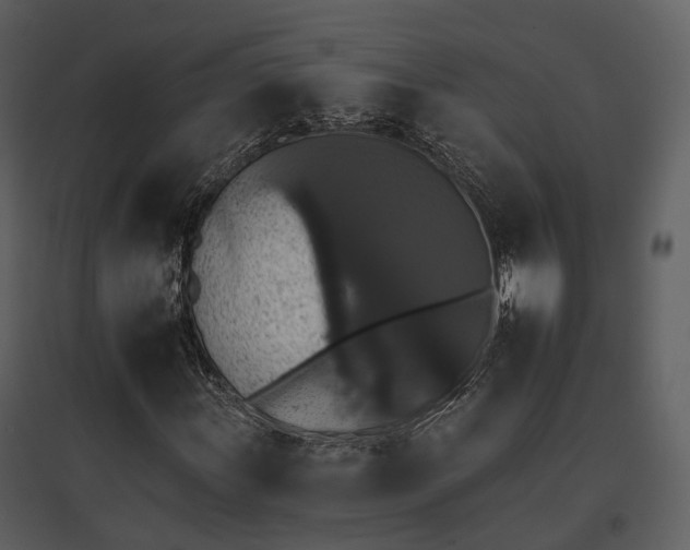 X0000095671011200801151059