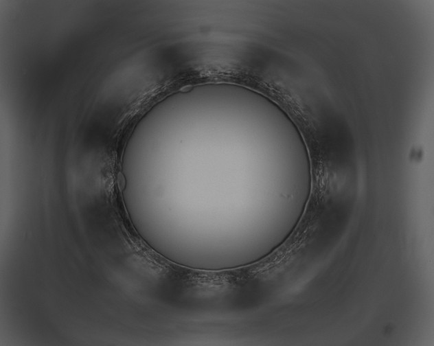 X0000095671012200801151059