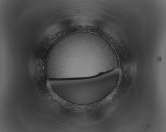 X0000095671013200801151059