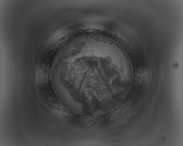 X0000095671014200801151059