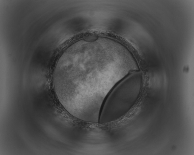 X0000095671015200801151059