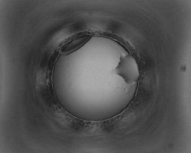 X0000095671016200801151059