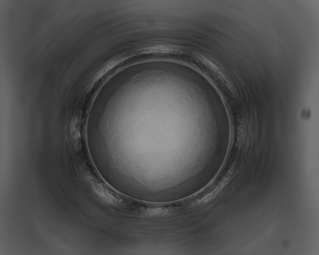 X0000095671017200801151059