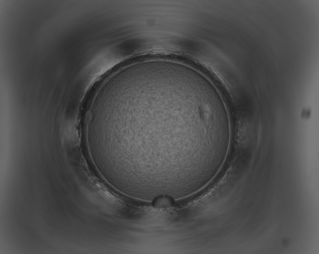 X0000095671018200801151059