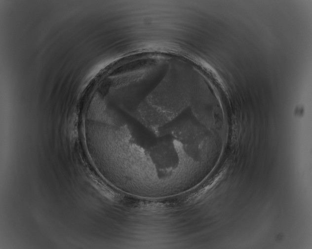 X0000095671019200801151059