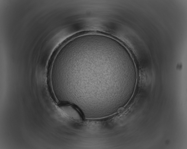 X0000095671020200801151059