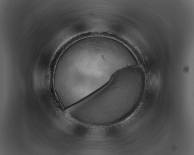 X0000095671021200801151059