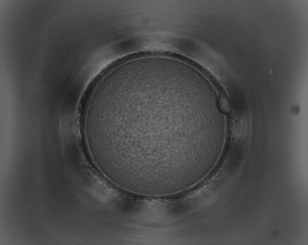 X0000095671022200801151059