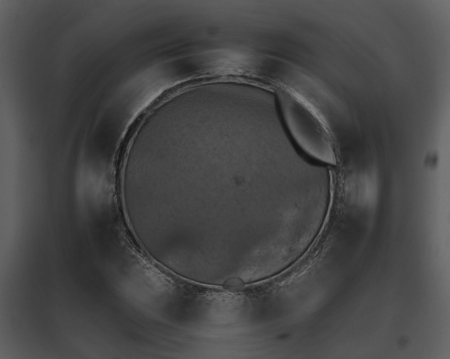 X0000095671023200801151059