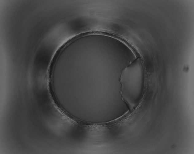 X0000095671024200801151059