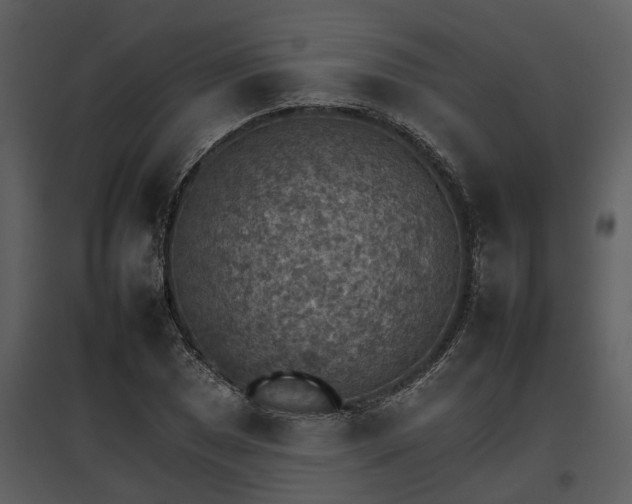 X0000095671025200801151059