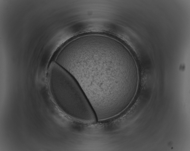 X0000095671026200801151059