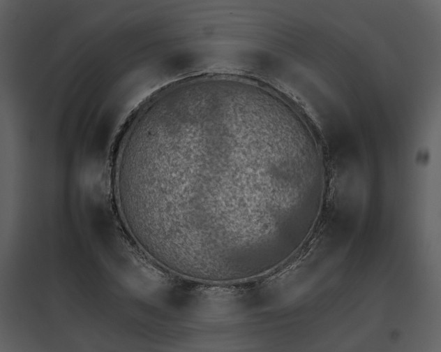 X0000095671027200801151059