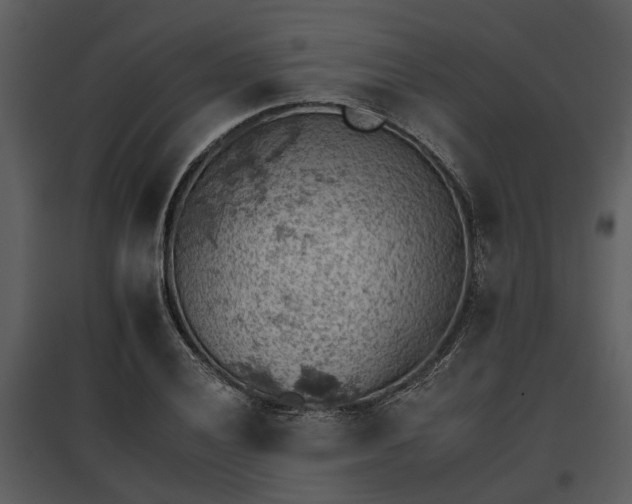 X0000095671028200801151059