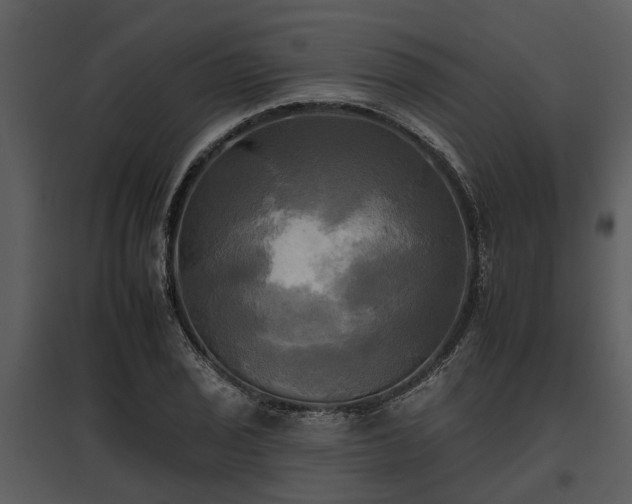 X0000095671029200801151059