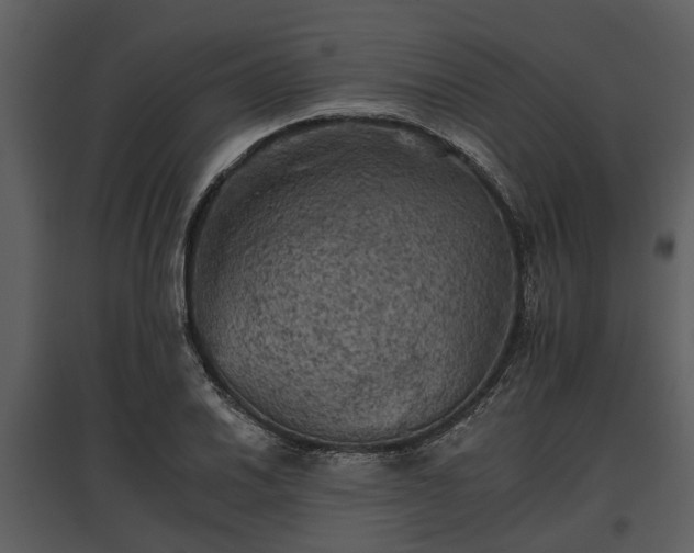 X0000095671030200801151059