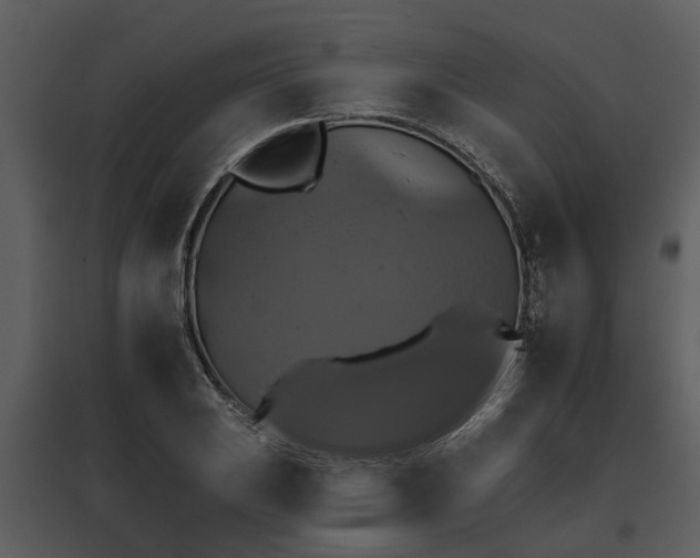 X0000095671031200801151059