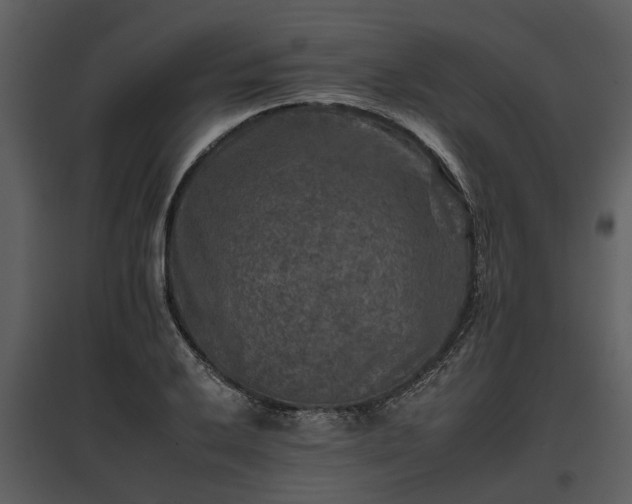 X0000095671032200801151059