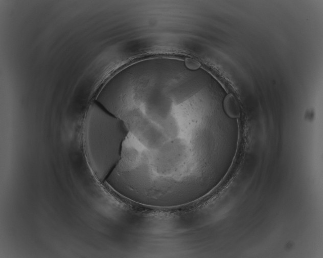 X0000095671033200801151059