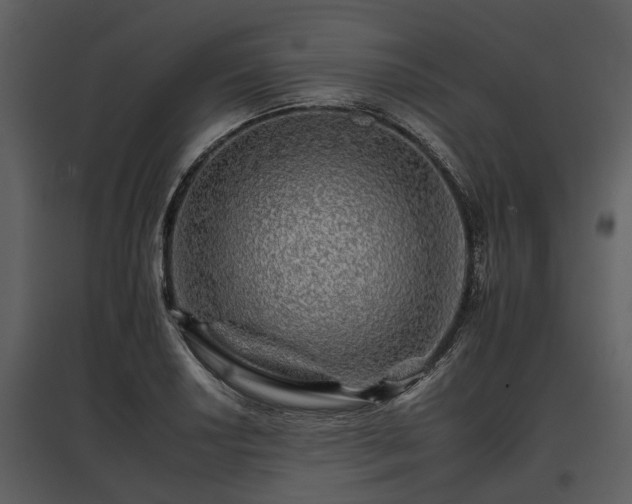 X0000095671034200801151059