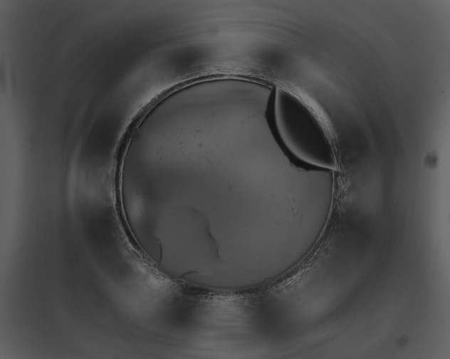 X0000095671035200801151059