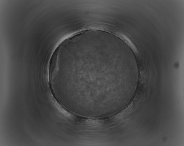 X0000095671036200801151059