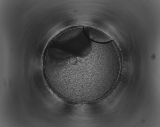 X0000095671037200801151059