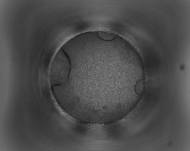 X0000095671038200801151059