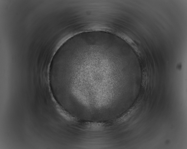 X0000095671039200801151059