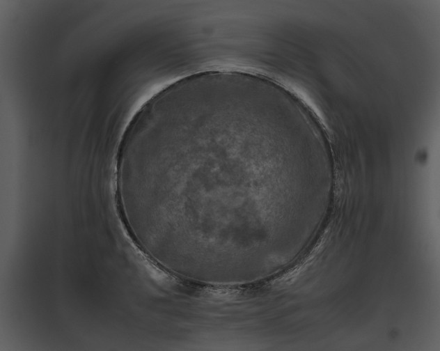 X0000095671040200801151059