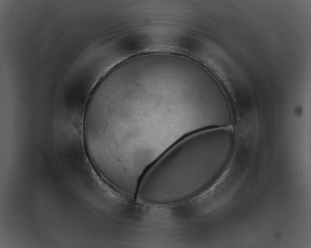 X0000095671041200801151059