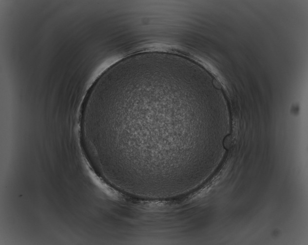 X0000095671042200801151059