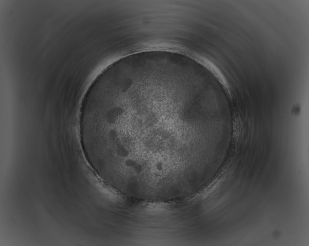 X0000095671043200801151059