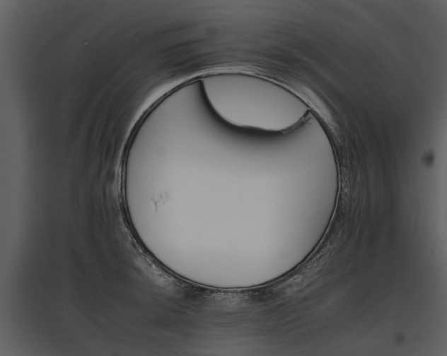 X0000095671044200801151059