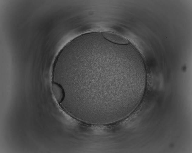 X0000095671046200801151059