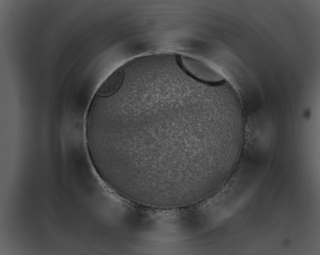 X0000095671047200801151059