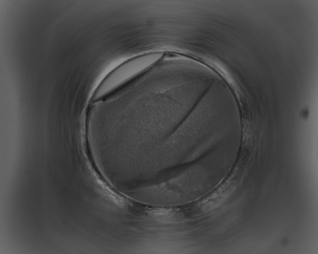 X0000095671048200801151059