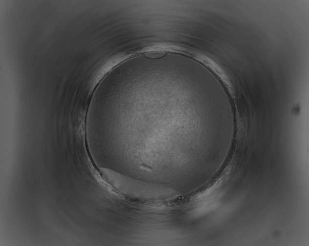 X0000095671049200801151059