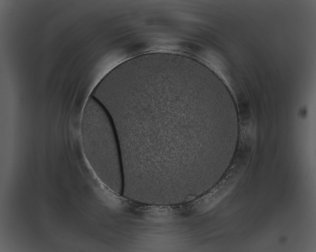 X0000095671050200801151100